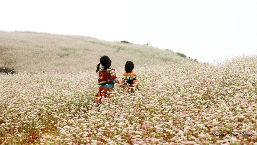 TAM GIÁC MẠCH Ở HÀ GIANG